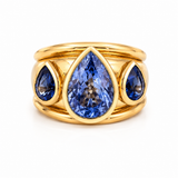 Tanzanite and Blue Sapphire Signature Ring