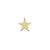 Engravable Gold Star Charm